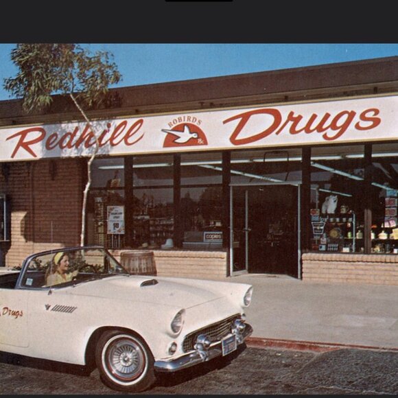 Meet your Posher, Teri - Picture 2 of 9